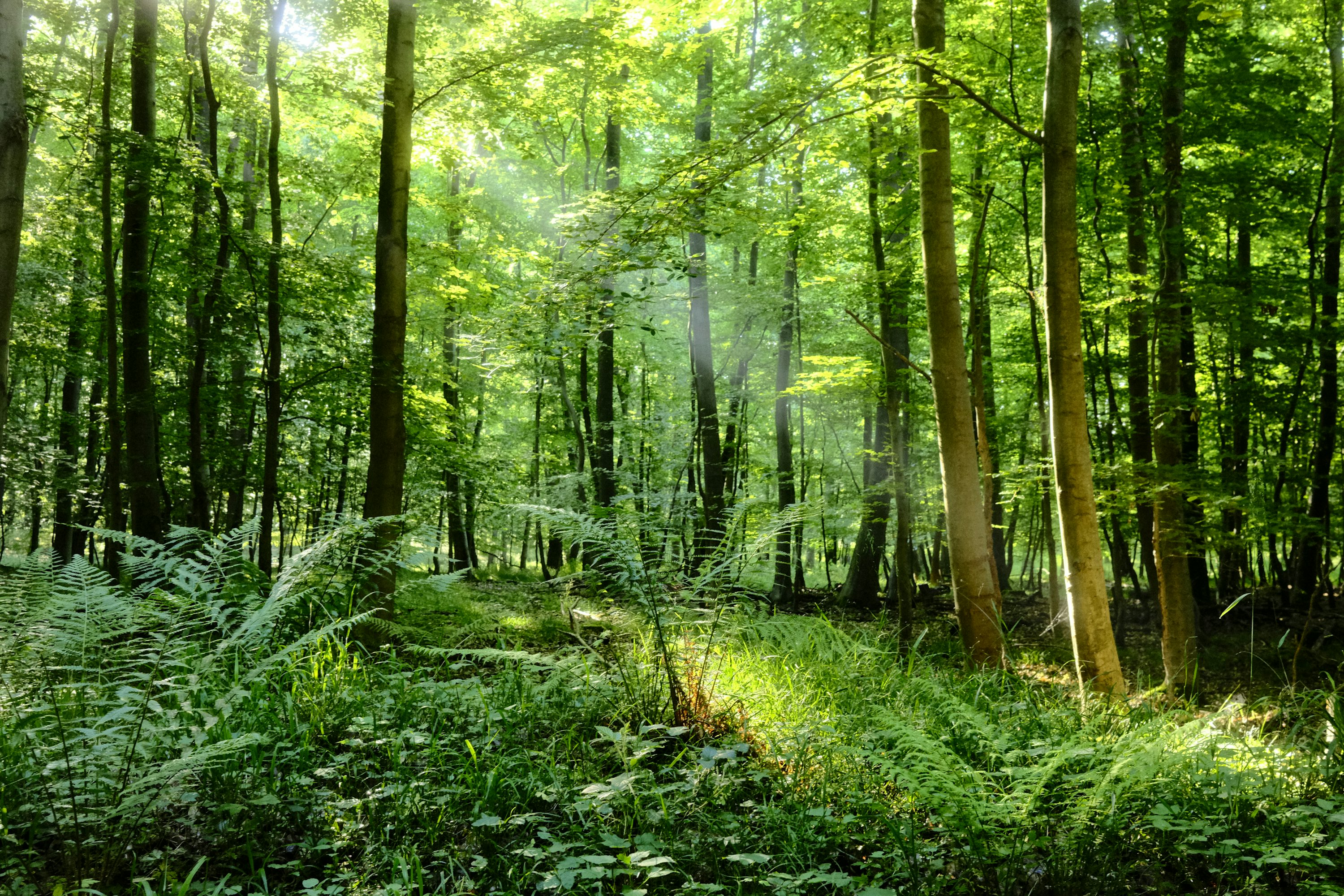 깊이 있는 진료,
꼼꼼한 상담